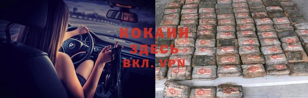 mdpv Алзамай