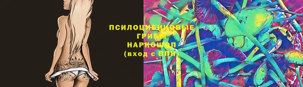 ПСИЛОЦИБИНОВЫЕ ГРИБЫ Алексеевка