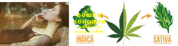 ПСИЛОЦИБИНОВЫЕ ГРИБЫ Алексеевка