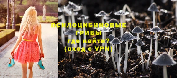 mdpv Алзамай