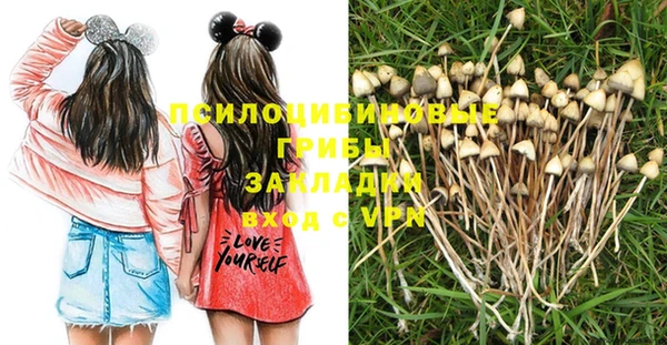 ПСИЛОЦИБИНОВЫЕ ГРИБЫ Алексеевка